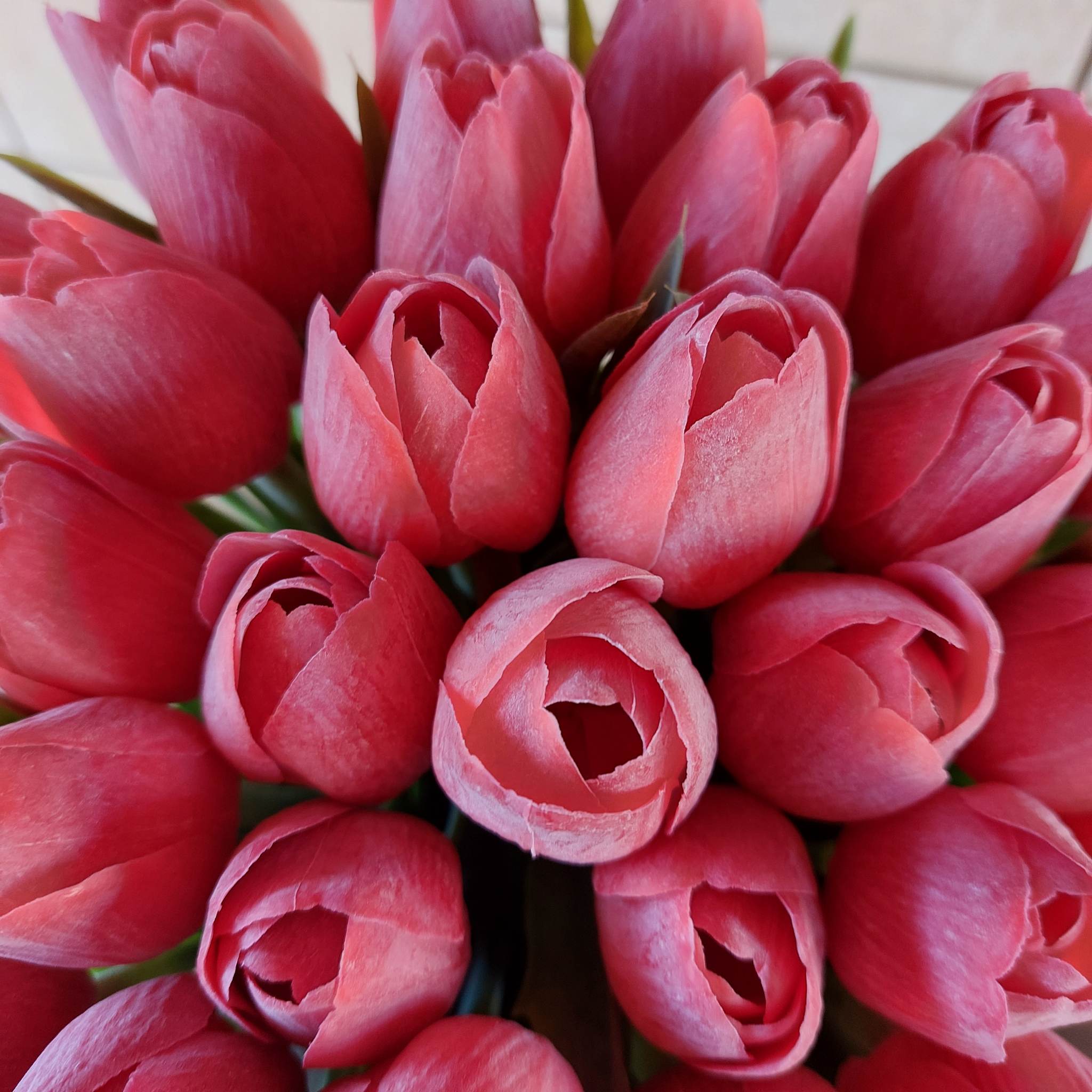 Umělý tulipán - červený