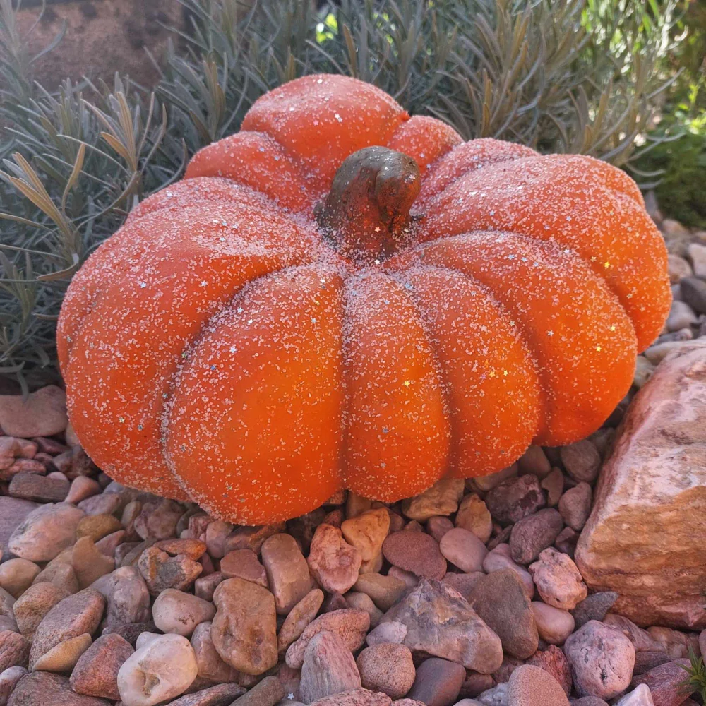 Dýně "Placka" - 29 cm 