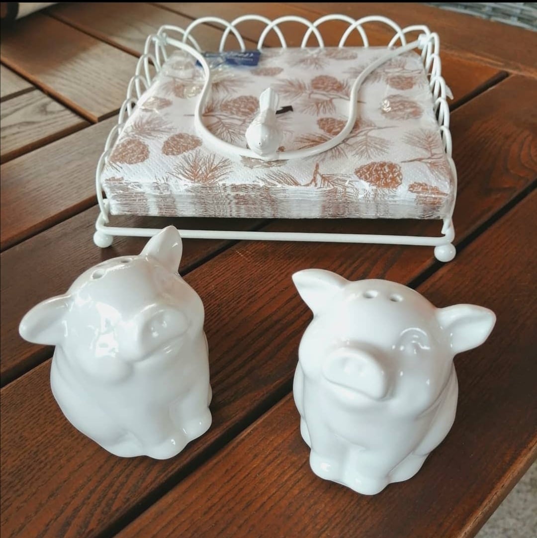 Kovový držák na ubrousky - 18 cm 