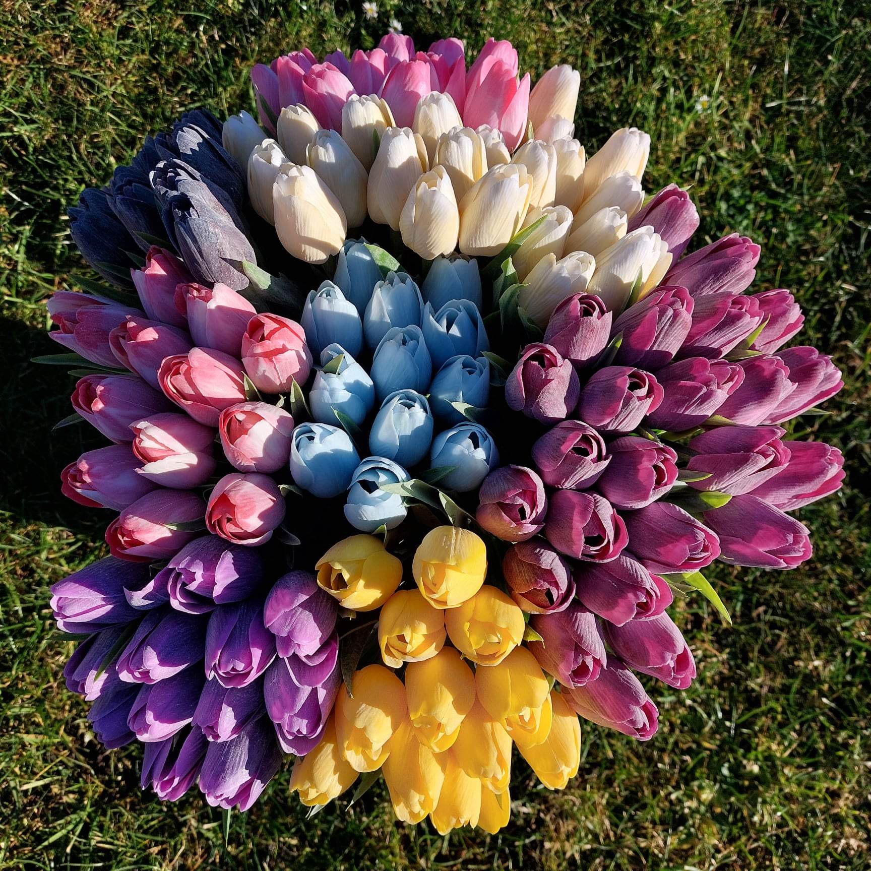 Umělý tulipán - obláčkový