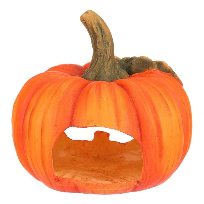 Dýně "Korcki" - 22 cm 