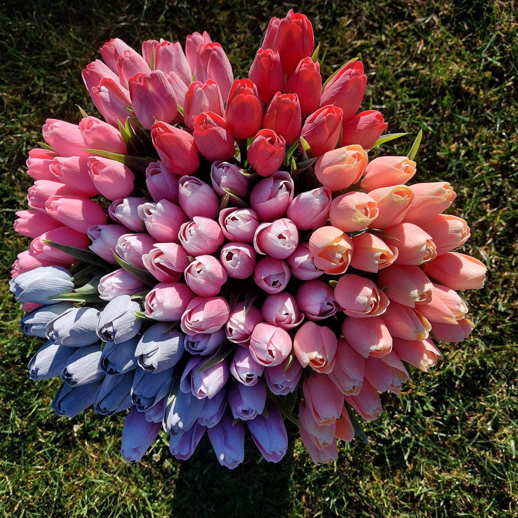 Umělý tulipán - červený
