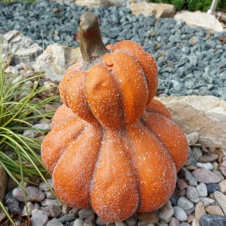 Dýně "Ruth" - 28 cm 