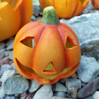 Dýně "Lupy" -10 cm 