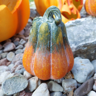 Dýně "zeleno-oranžová"-12 cm 