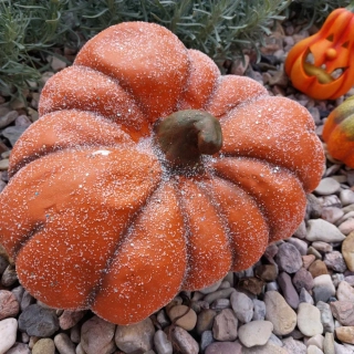 Dýně "Placka" - 29 cm 