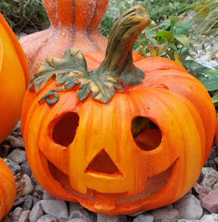 Dýně "Korcki" - 22 cm 